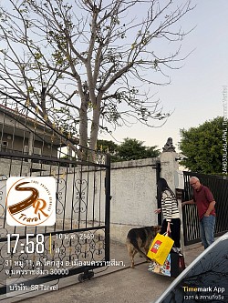 บริการรถเช่าพร้อมคนขับ ทั่วไทย