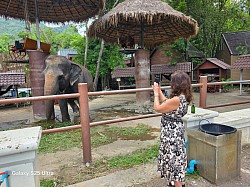 Korat To Khao Yai